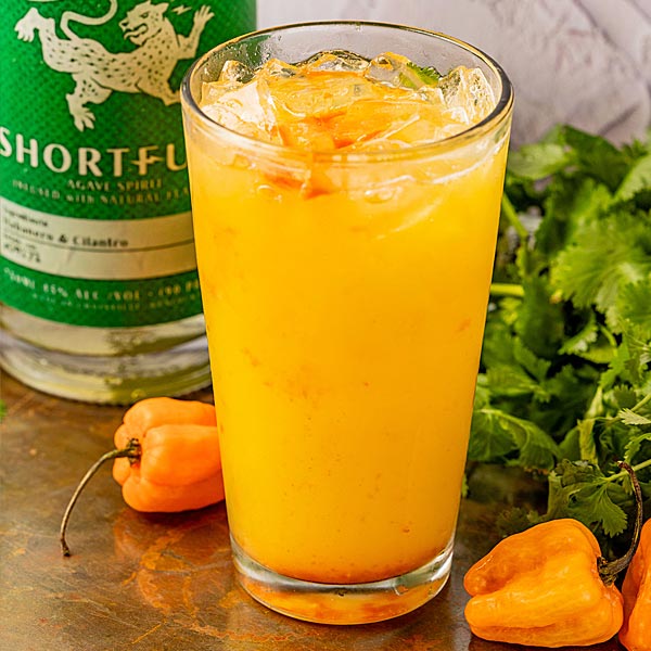 cocktail - tijuana sunburn